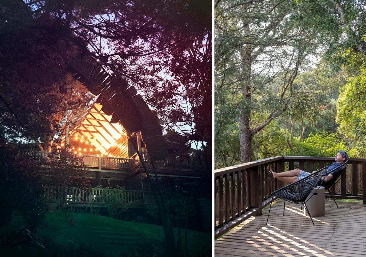 Forestchild Self Catering, The Crags Villa Dış mekan fotoğraf